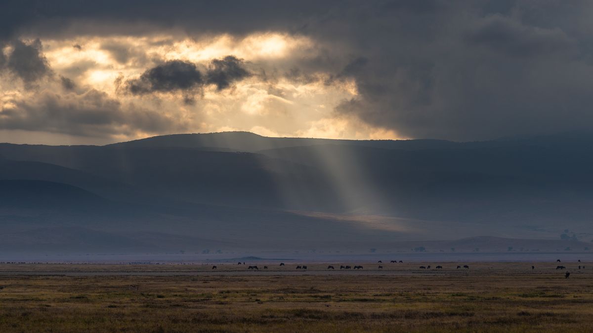 Durch ein Wolkenloch fällt Licht auf einen Berg und die Ebene mit Tieren davor.