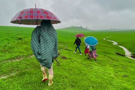 Personen mit Regenschirm gehen über eine Wiese.