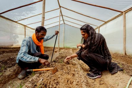 Eine Frau und ein Mann knieen in einem Gewächshaus und prüfen den Boden mit ihren Fingern.
