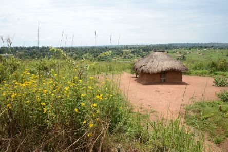 Strohgedeckte Lehmhütte auf einem Sandplatz, umgeben von Wiesen.