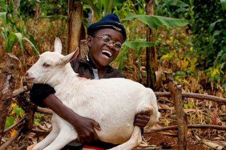 Ein lachender Junge mit Nickelbrille und Mütze hält eine weiße Ziege in seinen Armen.