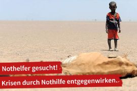 Ein Kind schaut auf ein verendetes Tier