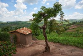 Eine Hütte in den ruandischen Bergen.